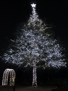 再春館製薬イルミネーション2010