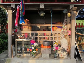 二人目がほしい・・ということで子宝神社に行ってきた!