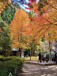 湯布院温泉 湯布院温泉