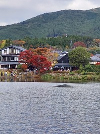 湯布院温泉 湯布院温泉