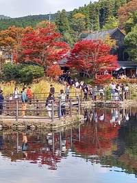 湯布院温泉 湯布院温泉