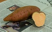 安納芋の天ぷら