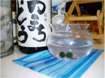 いつになるやら~?