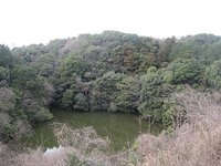 コスワエ