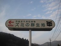 杉山