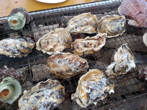 糸島市福吉の牡蠣小屋での焼牡蠣を食べました