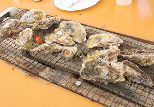 糸島に牡蠣を食べに行ってきました