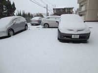 大雪　2016