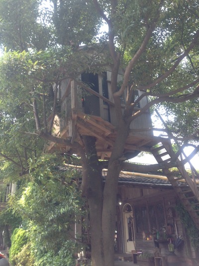 木の上の家