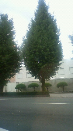 7月になりました