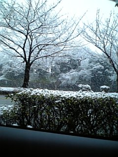 福岡は雪