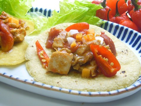 ハバネロチキンタコス　メキシコ料理ドットコム