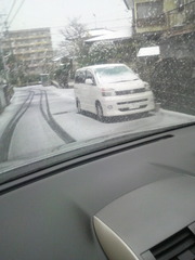 雪が積もっています