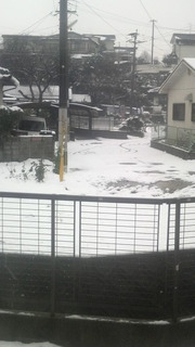 今朝の雪状況