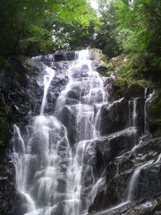 白糸の滝♪