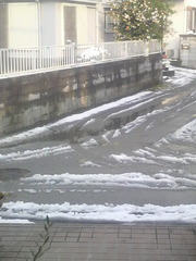 今朝の雪状況
