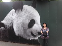 Panda GoGo ! - 上野動物園-