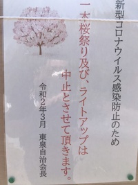 浅井の一本桜2020【予告編】