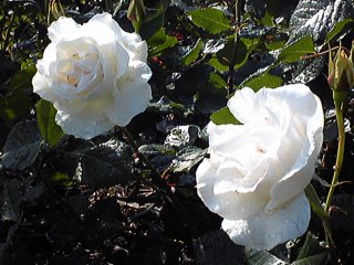 思ってたよりも