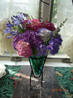 紫陽花にアガバンサスを加えました。