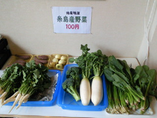 糸島の野菜販売