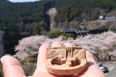 地域特有の魅力をグルメ（カレー）にてアピールしませんか