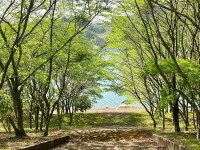 寺内ダム・定点観測(桜から新緑へと) ～ダムの魅力とは、