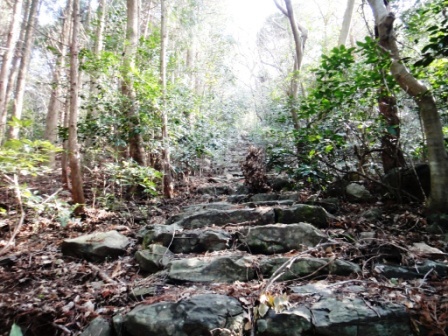 古道発見
