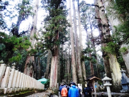 高野山