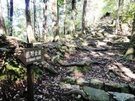 熊野古道縦断【3日目】
