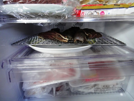 ジビエ料理