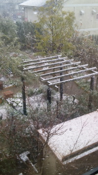 福岡県小郡市の雪