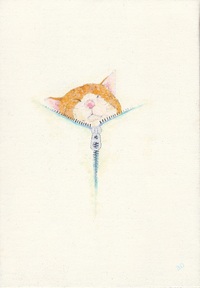 2011年12月13日