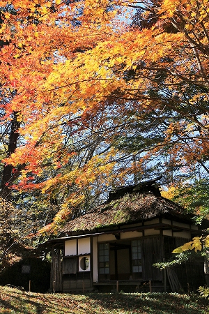 秋の軽井沢の紅葉