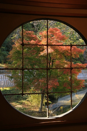 松代町象山神社の紅葉
