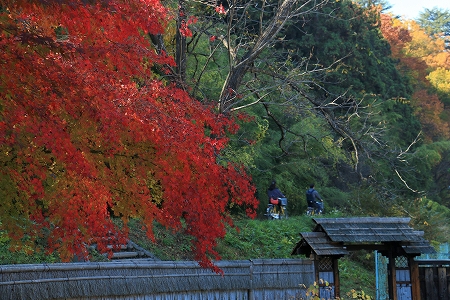松代町象山神社の紅葉