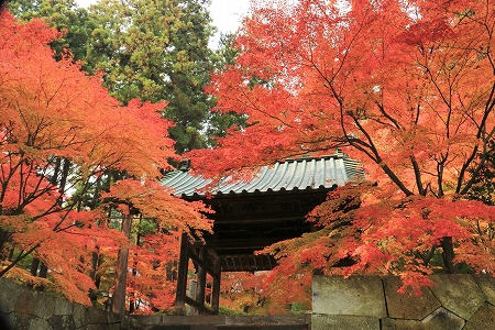 長野だけど京都のようなお寺