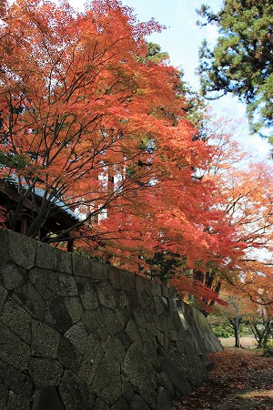 昌禅寺の紅葉