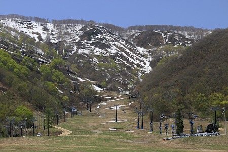 白馬五竜かたくり園