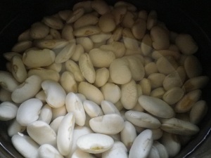 白花豆