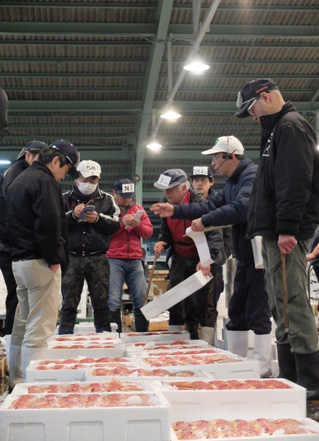 朝倉２号の楽しき日々 柳川の筑後中部魚市場でセリ見学