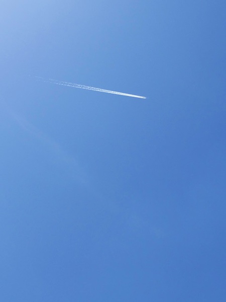 青い空にひとすじの飛行機雲。
