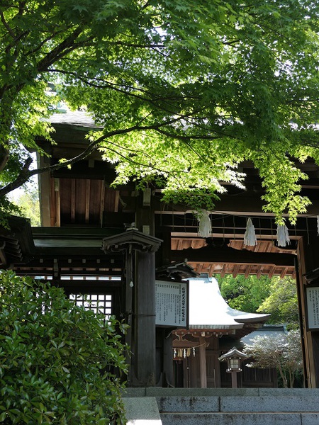 広瀬神社。