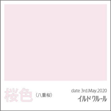 色彩採集福岡2020