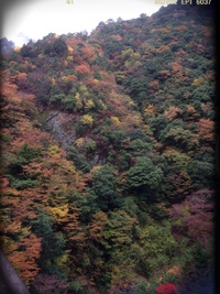 五家荘の紅葉