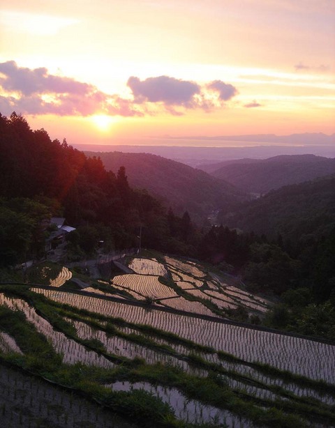 日本の風景