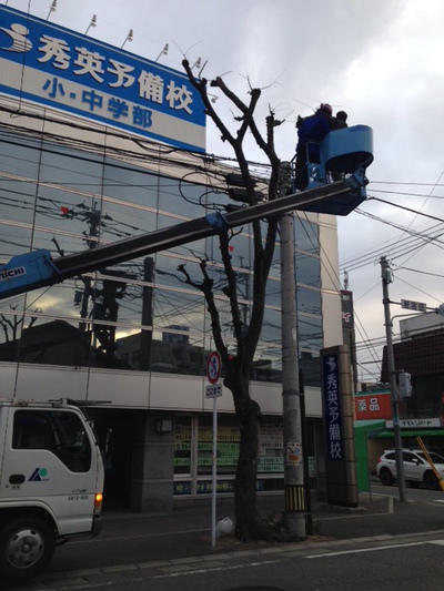 イルミネーション