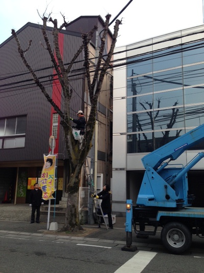 イルミネーション撤去作業