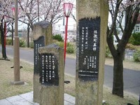 信濃川漫歩　新潟に魅入られ