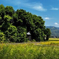 ドライブ気分